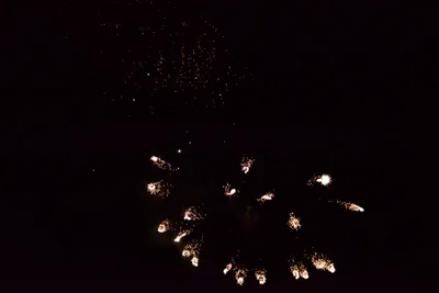 DSC_3398 (Large).JPG